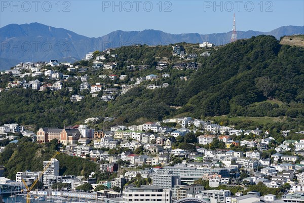 Oriental Bay suburb