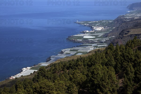 View onto banana plantations and Puerto Naos
