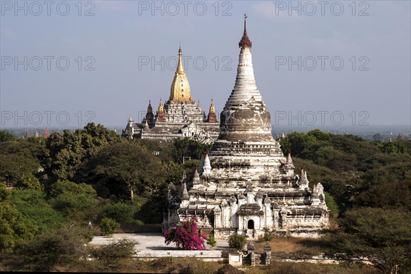 View of pagodas