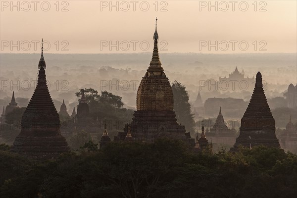 View of pagodas