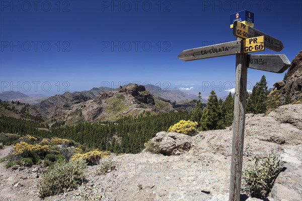 Hiking signpost on a hiking path to Roque Nublo