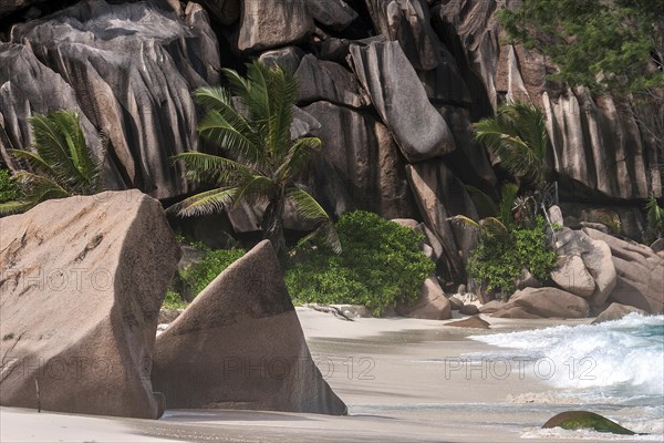 Beach with granite rocks and palm trees