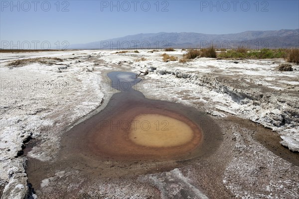 Salt Basin