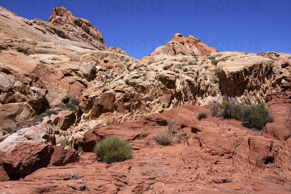 Coloured sandstone formations at Rainbow Vista