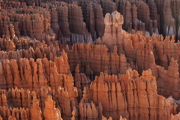 View of Bryce Amphitheater from Inspiration Point