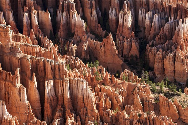 View of Bryce Amphitheater from Inspiration Point