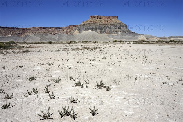 Table Mountain Factory Butte