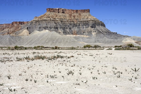 Table Mountain Factory Butte