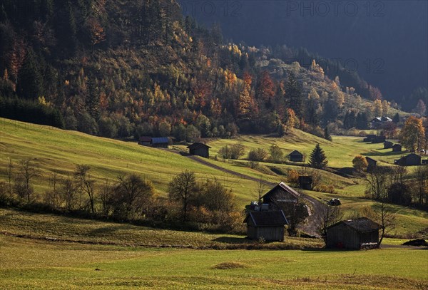 Autumnal colours