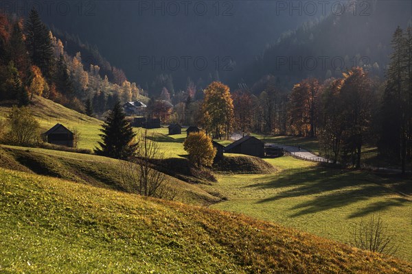 Autumnal colours