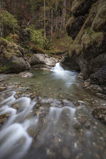 Ostertalbach in Ostertaltobel