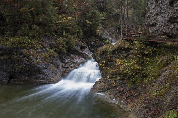 Ostertalbach in Ostertaltobel