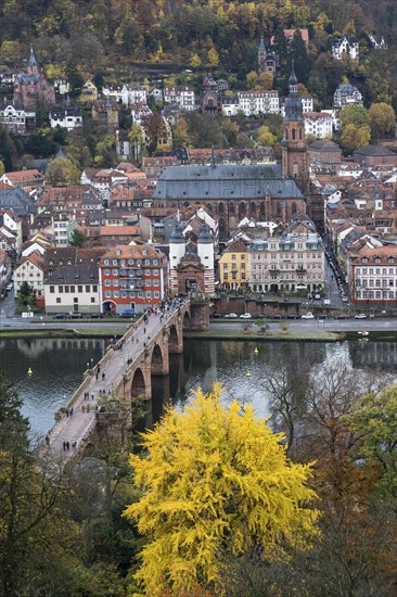 View from Philsophenweg to Neckar