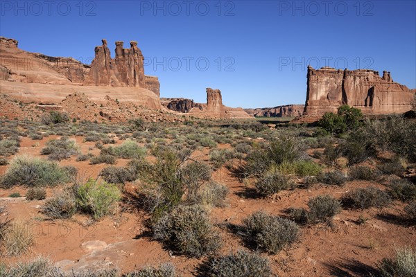 Courthouse Towers