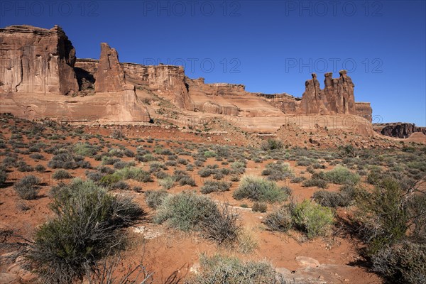 Courthouse Towers