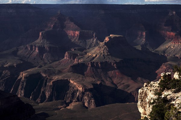 View from South Rim Trail