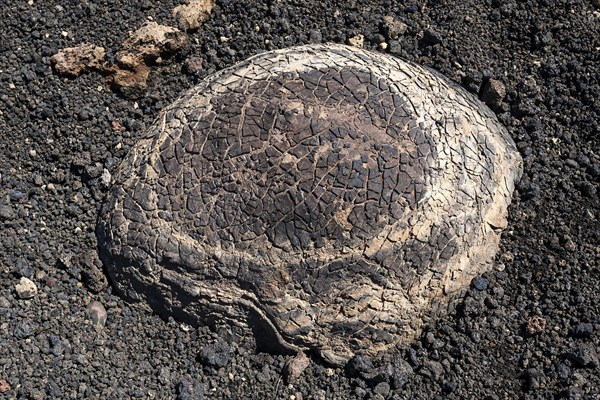 Lava ball
