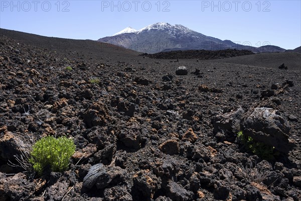 Volcanic landscape