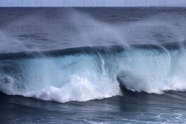 Sea