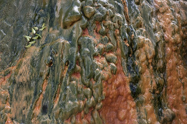 Colored mineral deposits in a thermal spring in Cilaos Cirque de Cilaos