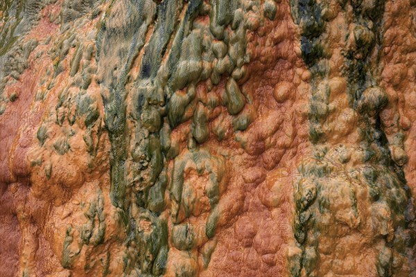 Colored mineral deposits in a thermal spring in Cilaos Cirque de Cilaos