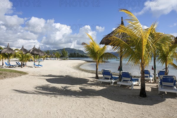 Beach with palm trees and sun loungers