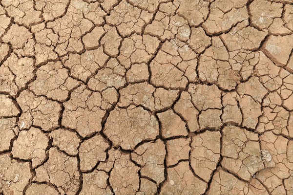 Dried earth