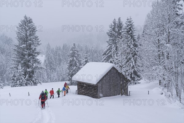 Snowshoe walking