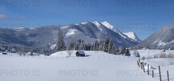 Snowy landscape