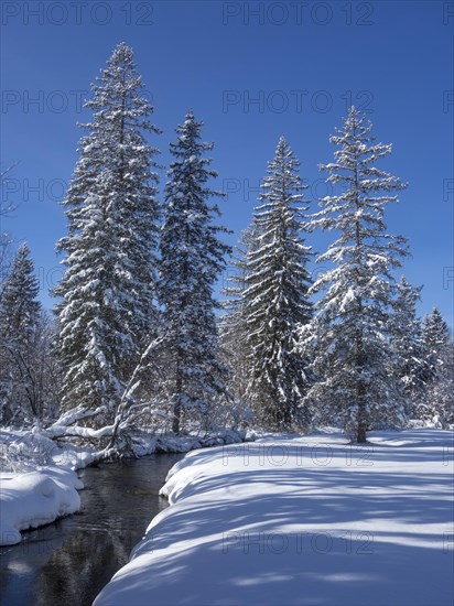 Winter stream
