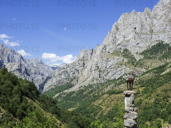 Mirador del Tombo