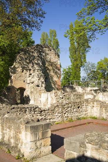 Ruins of the Dominican convent Domonkos kolostor