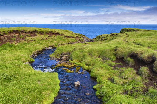 Coast between Arnarstapi and Hellnar