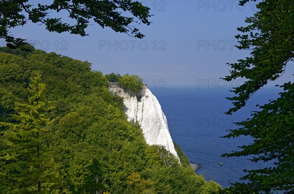 Views of the Konigstuhl