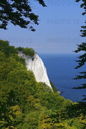 Views of the Konigstuhl