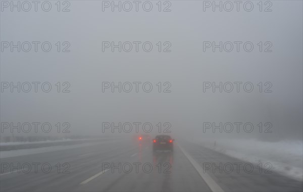 Cars in the mist