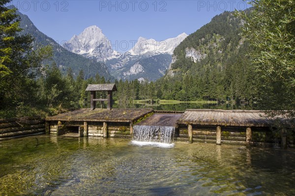 Schiederweiher