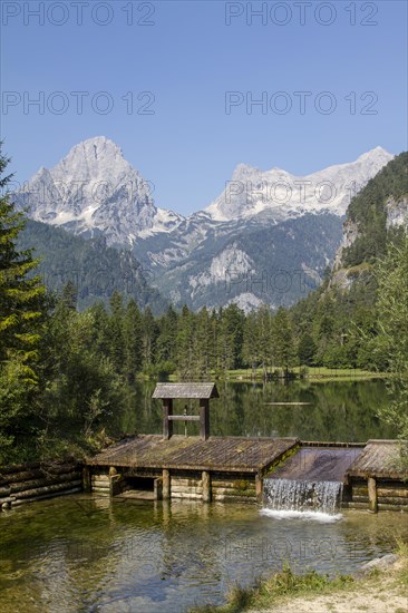 Schiederweiher