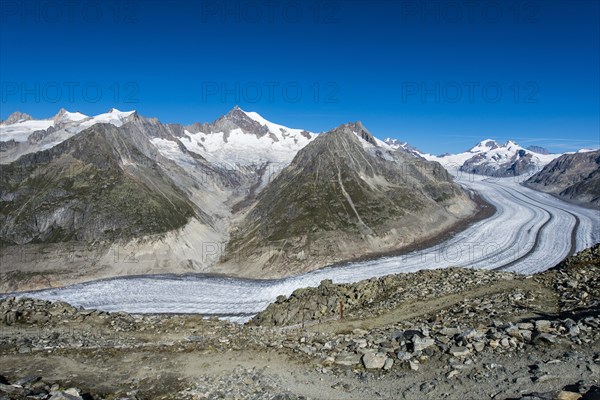 Great Aletsch Glacier