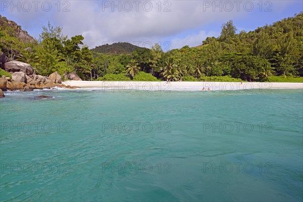 Dream beach Anse Georgette