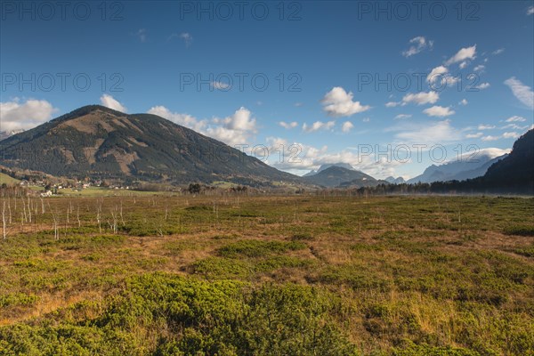 Purgschachen Moor