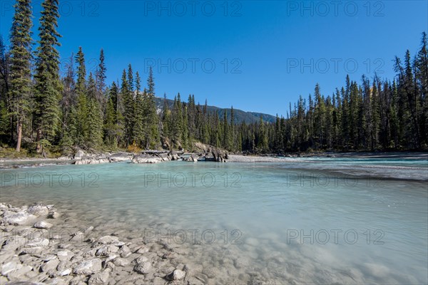 Kicking Horse River