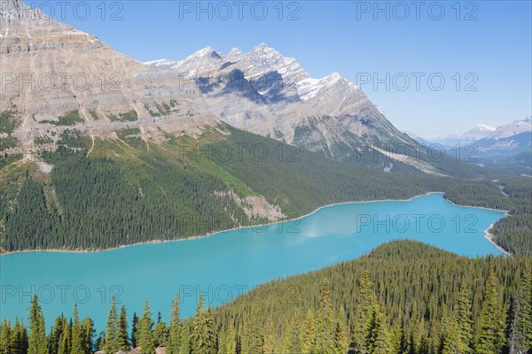 Turquoise glacier Peyto Lake