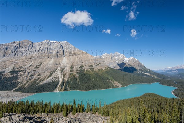 Turquoise glacier Peyto Lake