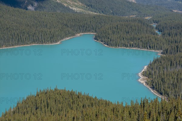 Turquoise glacier Peyto Lake
