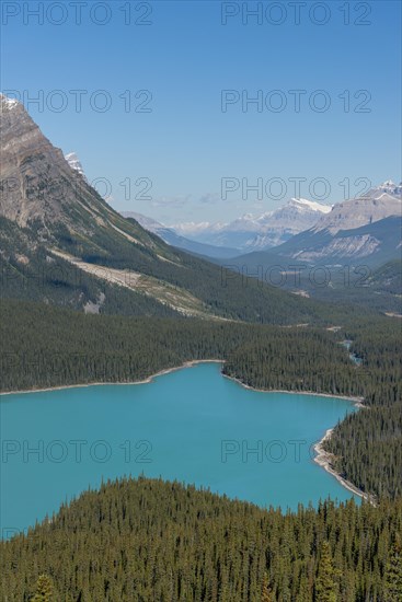 Turquoise glacier Peyto Lake