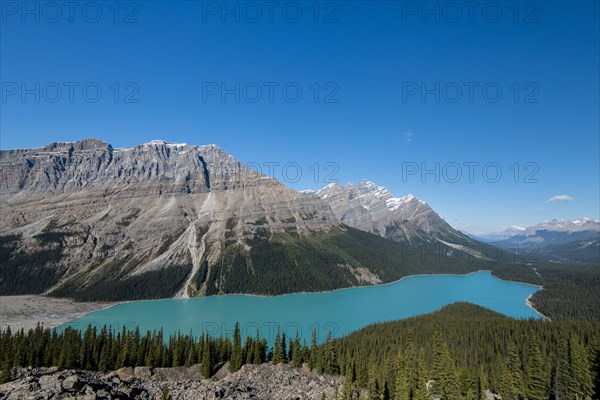 Turquoise glacier Peyto Lake