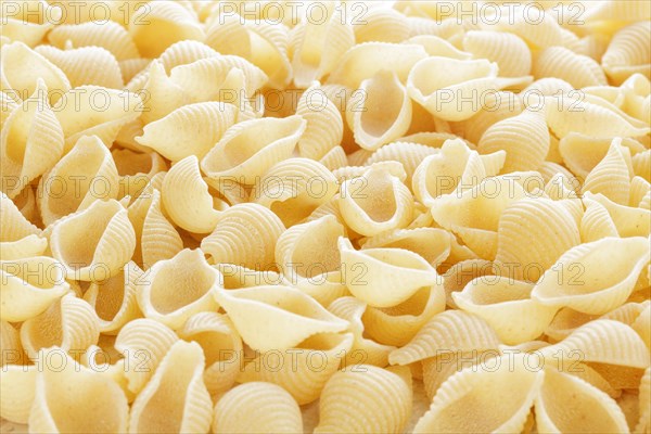 Conchigliette pasta shells