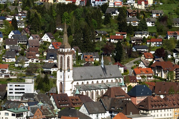 Neustadter Munster