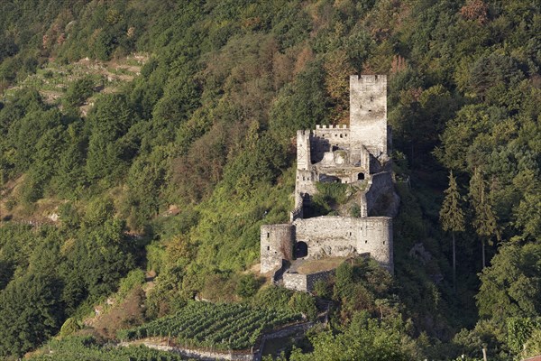 Hinterhaus castle ruins